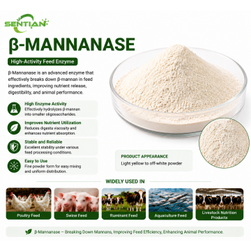 β-Mannanase Enzyme for Energy Release in Animal Feed