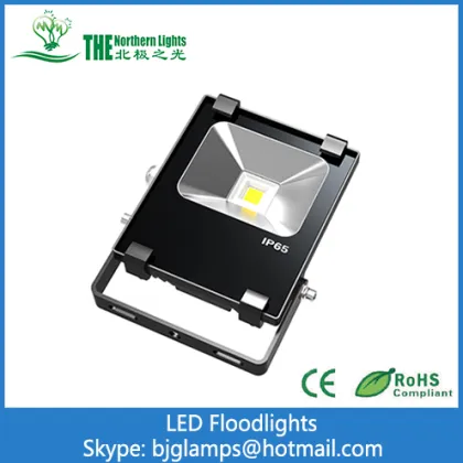 10Watt LED Floodlights of Osram lighting Fixtures