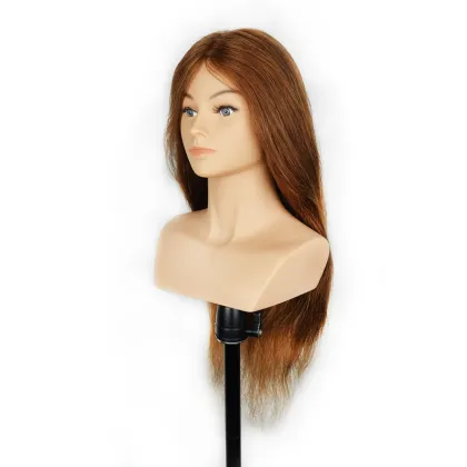 Wholesale human hair mannequin head with shoulders,training head with shoulders for hairdresser