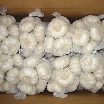 New crop white Garlic