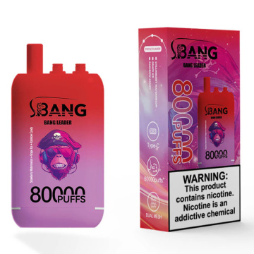Bang Leader 80000 Big Puffs Netherlands Wholesale