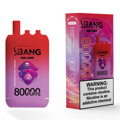 Bang Leader 80000 Big Puffs Netherlands Wholesale