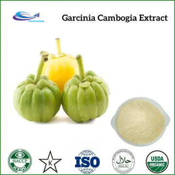 supply Hydroxycitric Acid 65% Garcinia Cambogia Extract