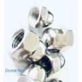 DIN1587 plain Dome Nut