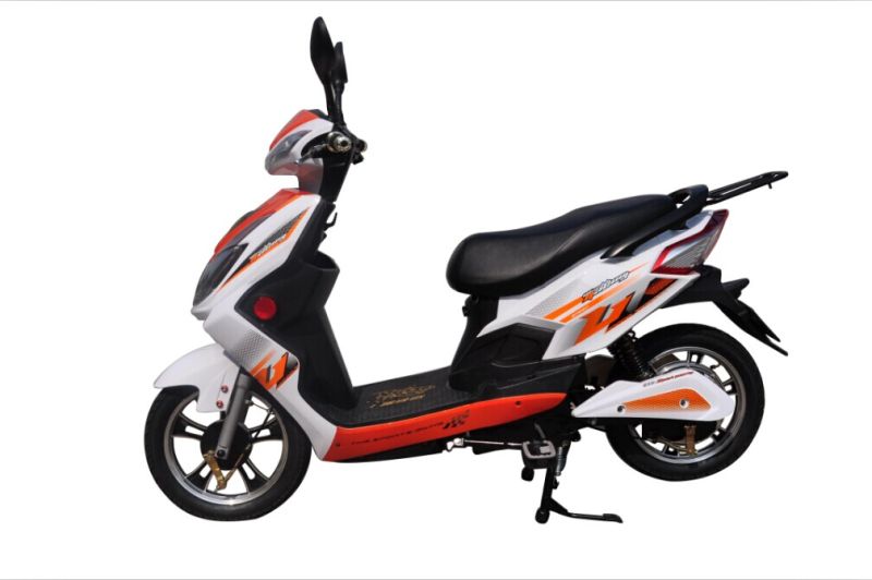 CE Zcgz High Quality New Fashion High Power E Electric Scooter (TDR-505)