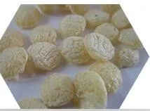 Modified Starch Processing Machines for Textile and Food Industries