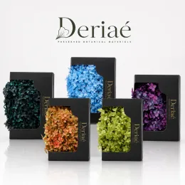 Bulk Preserved Hydrangea 20g
