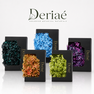Bulk Preserved Hydrangea 20g