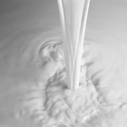 Evaporated Milk 370grm