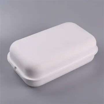 Sugarcane Bagasse Paper Pulp Molded Clothes Packaging Box