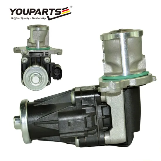 High Quality EGR Valve for FIAT, OPEL, RENAULT, CITROEN, VAUXHALL - YOUPARTS OEM