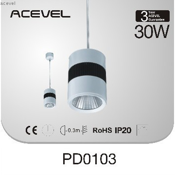 New design LED COB pendant light, 30W