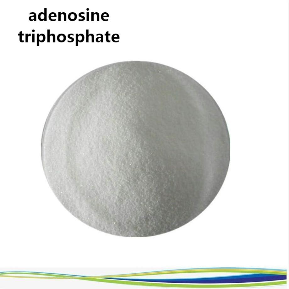 Adenosine Triphosphate Jpg