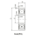 Deep Groove Ball Bearings SS6301