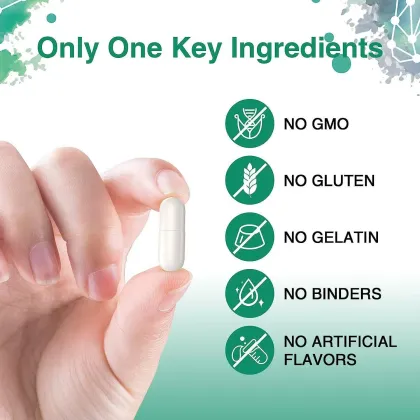 OEM Milk Thistle Liver Support Supplements Bulk Tauroursodeoxycholic Acid Tudca Capsules