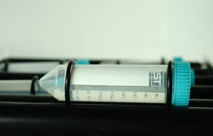 Standard Mini Roller (6 Rollers)