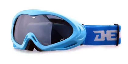 OEM rayzor ski goggles