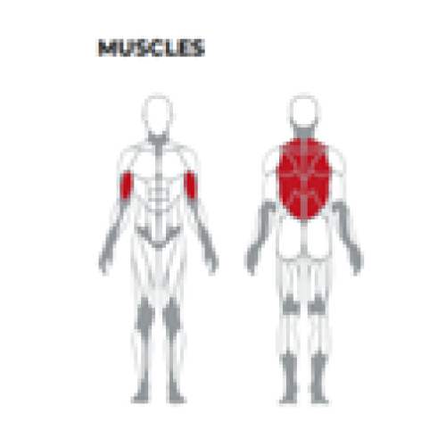 High Quality Pin Loaded Multimotion Bench fitness equipment