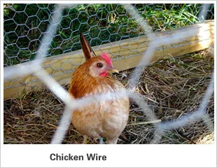 Chicken wire, poultry netting, hexagonal netting