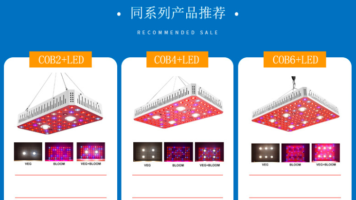 أفضل مصباح LED كامل الطيف ينمو بقدرة 1000 وات