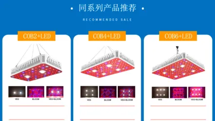 Best Cree Cob Led Grow Light 1000W