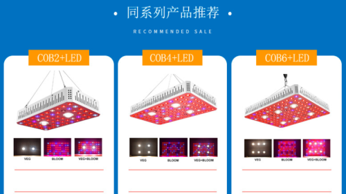 Best Full Spectrum LED Grow Light 1000watts