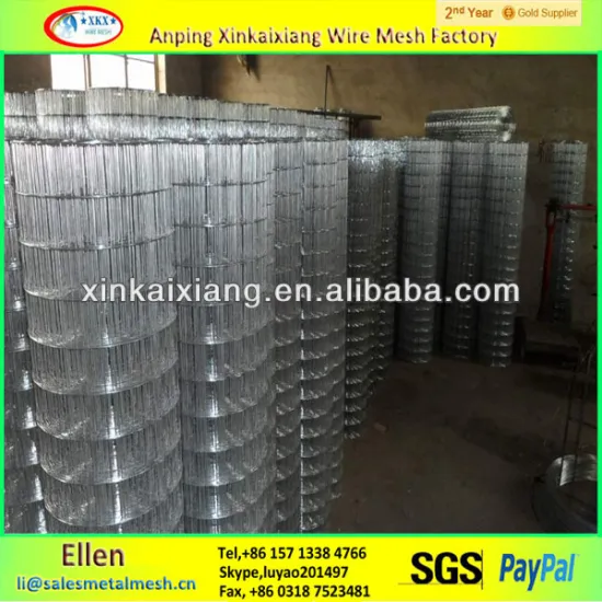 Hot-dipped/Electro galvanized Weled Wire Mesh High quality