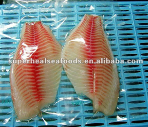 Frozen Tilapia fillet fish meat