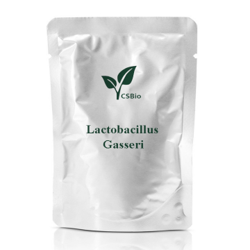 Lactobacillus Gasseri의 프로바이오틱스 분말