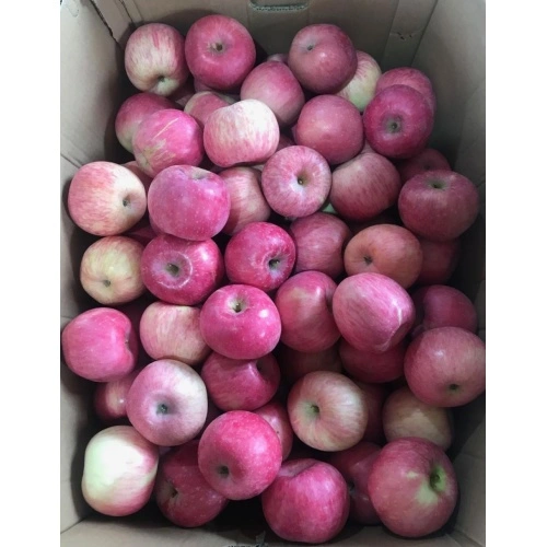 Chinese Top Quality Fuji Apples China Manufacturer