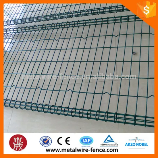 Powder Coated Galvanized Steel Ornamental Double Loop Fence