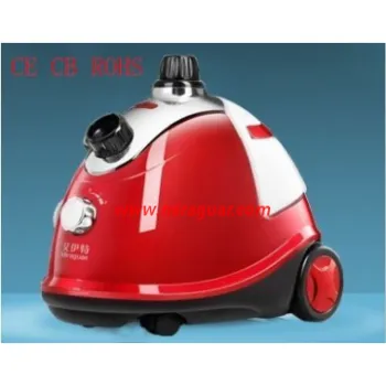 220V Electric Garment Steamer 1800W used at home