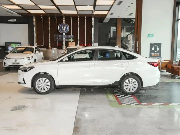 Cheap New Energy Vehicle 2024 Electric Vehicle