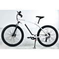 XY-SPORTSMAN ECO bestes E-Mountainbike unter 2000