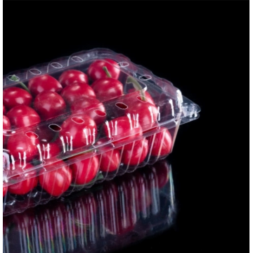 RPET plastic packaging box for tomato packaging