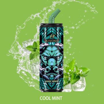 Custom Logo Disposable Vape 6000 Puffs