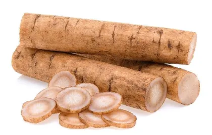 Wholesale Organic Burdock Root Extract Powder