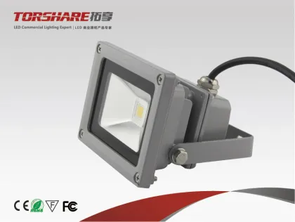 Torshare, 10W, LED Flood Lighting