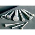 Stainless Steel Full Thread Stud Hex Bolts