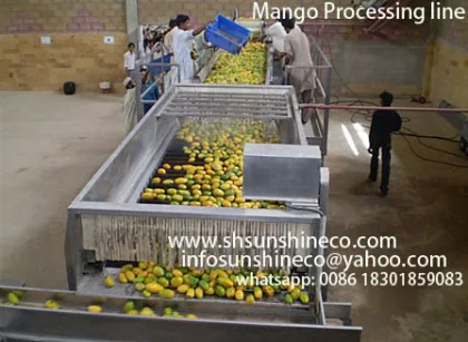 Mango machine/Mango puree processing machine
