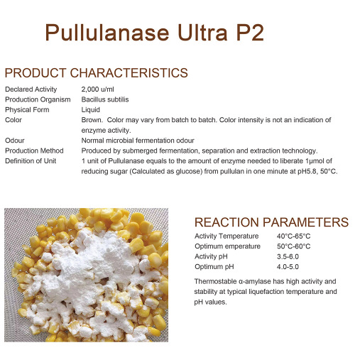 pullulanase สำหรับน้ำตาลแป้ง