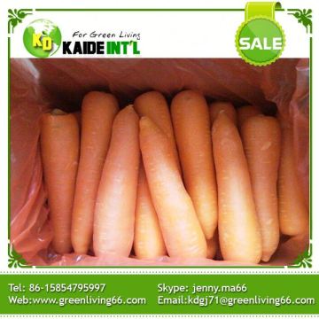 Wholesale Quality Fresh Carrots No Complaint