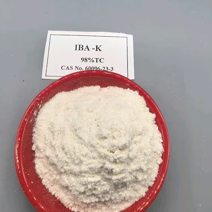 Auxin IBA IBA-K Indole-3-butyric acid Potassium salt plant growth regulator