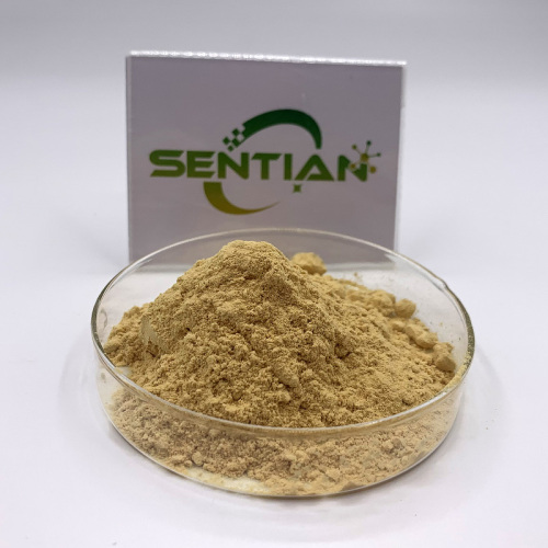 Organic Acanthopanax senticosus Supplement