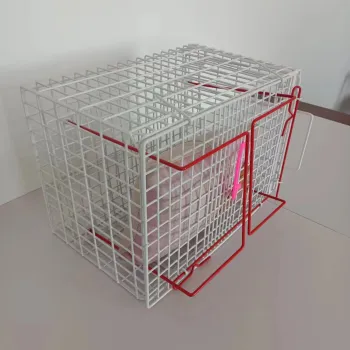 High-Quality Pet Injection Cages for Sale by Manufacturers