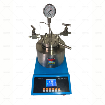 Stainless Steel Chemical Reactor - Lab Pyrolysis Stirred Reactor