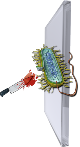 Antimicrobial Glass & Anti-Bacteria Glass