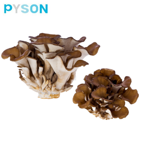 Maitake extract from fruit