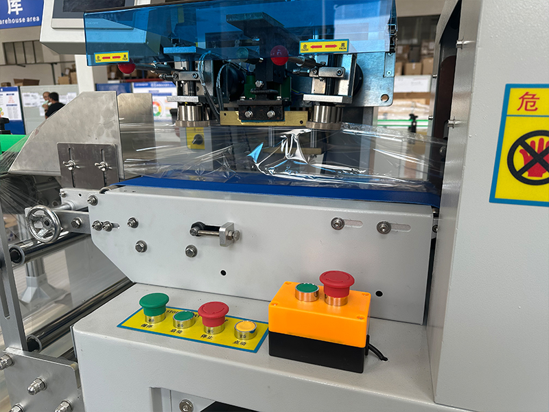 Rotary Pillow Packaging Machine