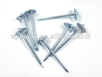 sale roof nail